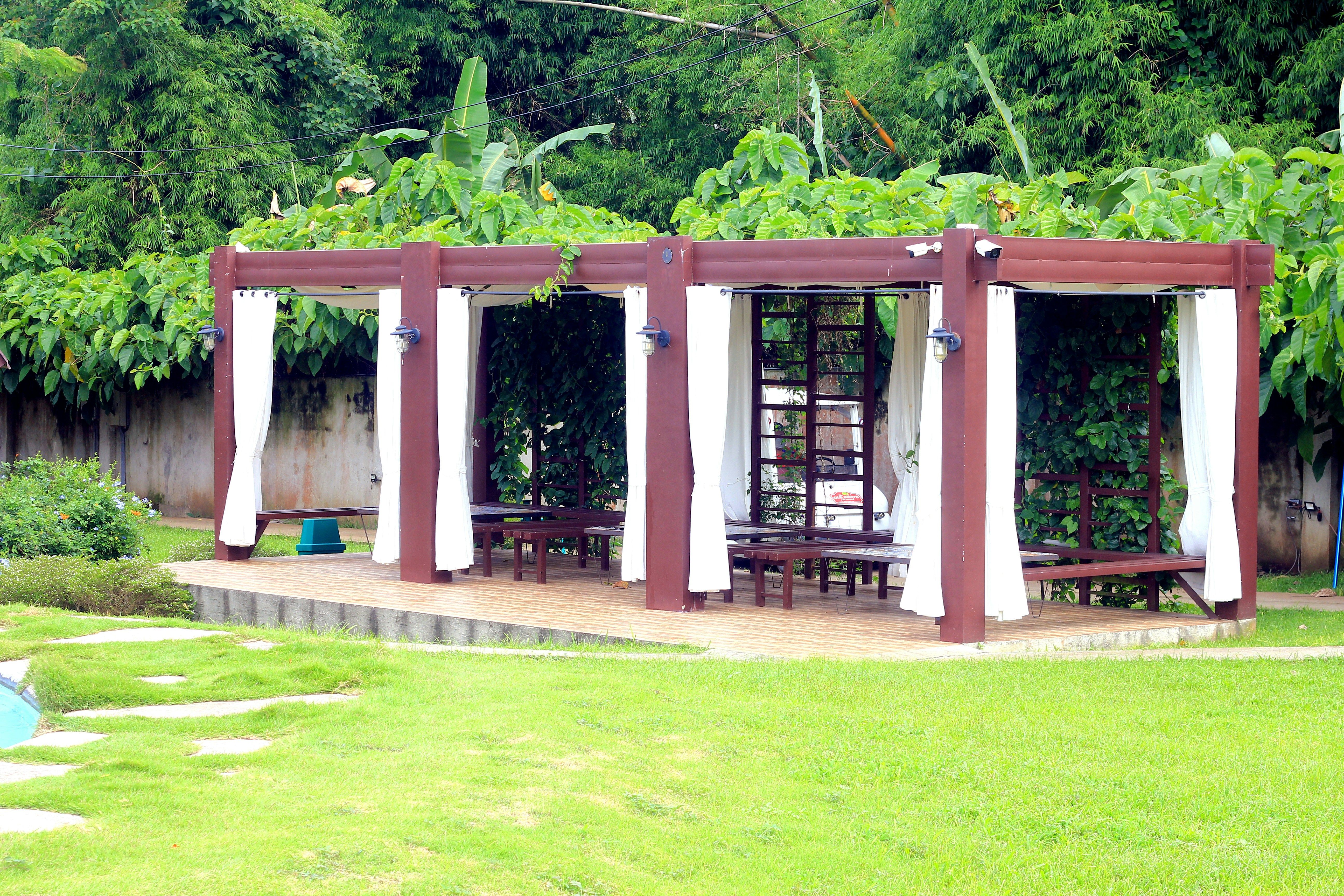 Pergola putih beratap kayu berdiri di atas halaman rumput dengan pepohonan di belakangnya